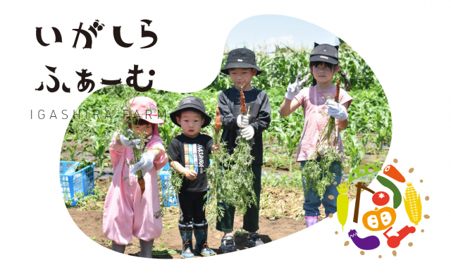 いがしらふぁーむ