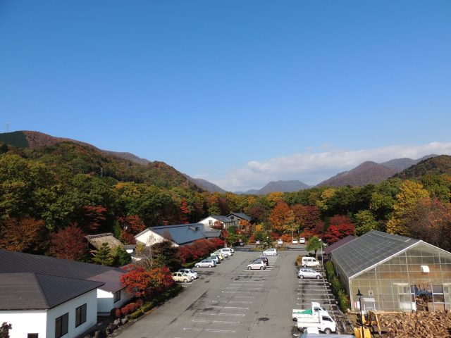 幸乃湯温泉