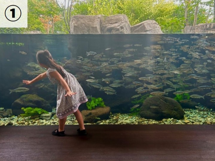 なかがわ水遊園