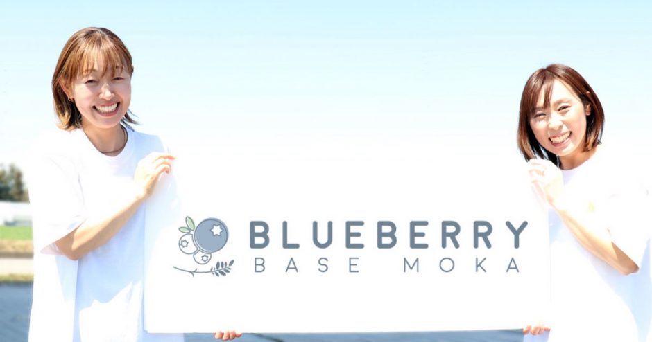 BLUEBERRY BASE MOKA