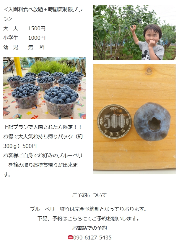 ブルーベリーファームほりうち