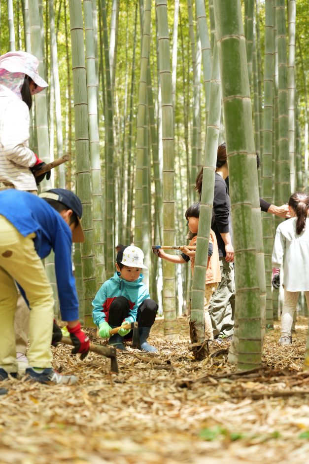 若竹の杜 若山農場