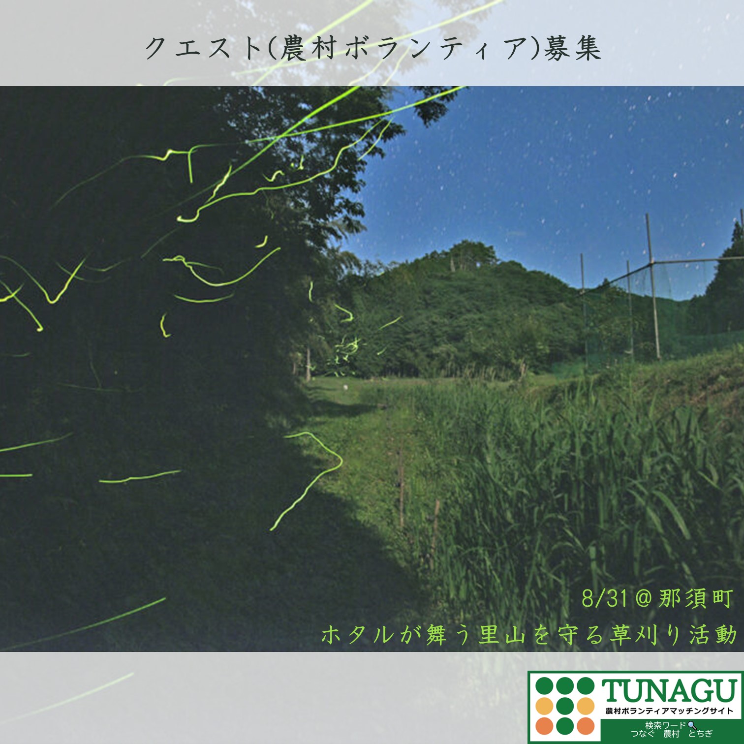 TUNAGU_ボランティア募集