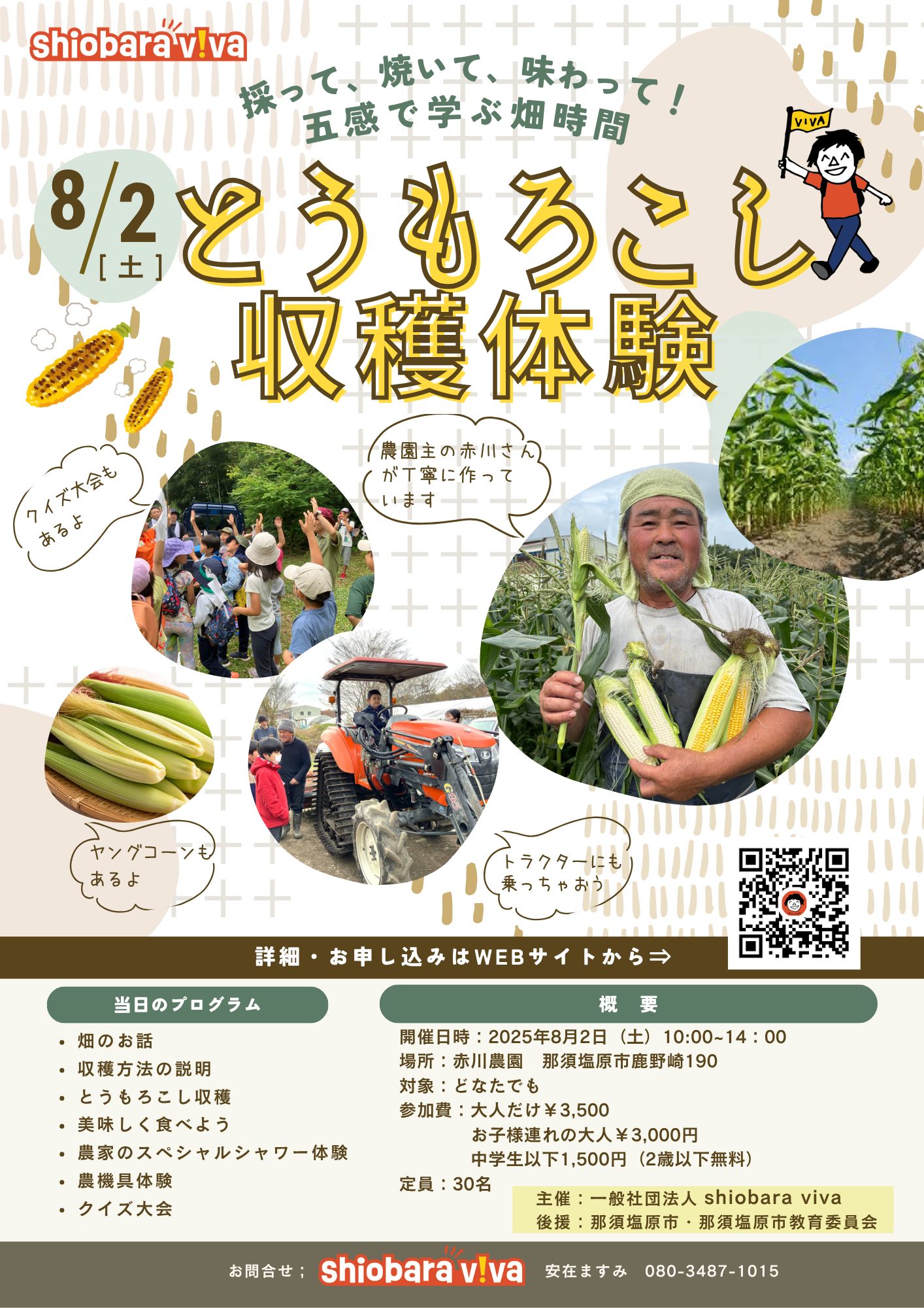 とうもろこし収穫