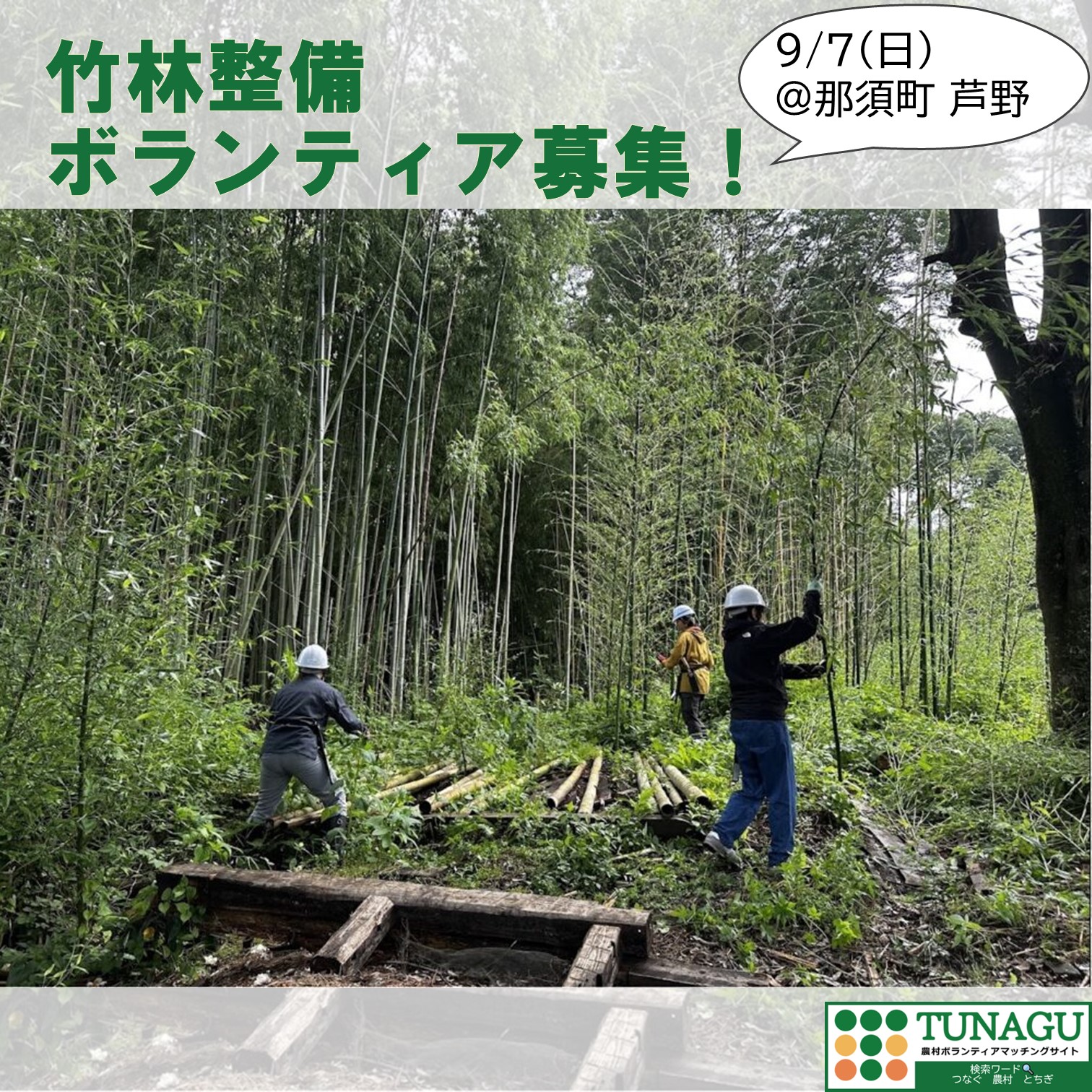 0907TUNAGUボランティア募集画像