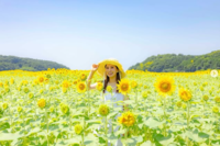 わくの写真1