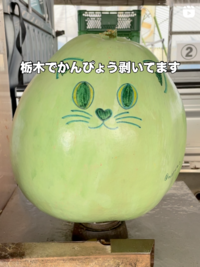 栃木のかんぴょう　まるもの写真2