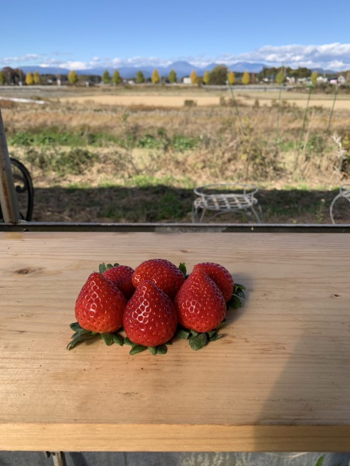 大空いちご園