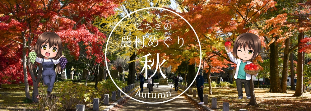 とちぎ農村めぐり秋