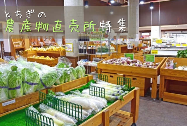 とちぎの農産物直売所特集