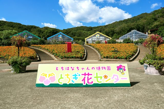 とちぎ花センター