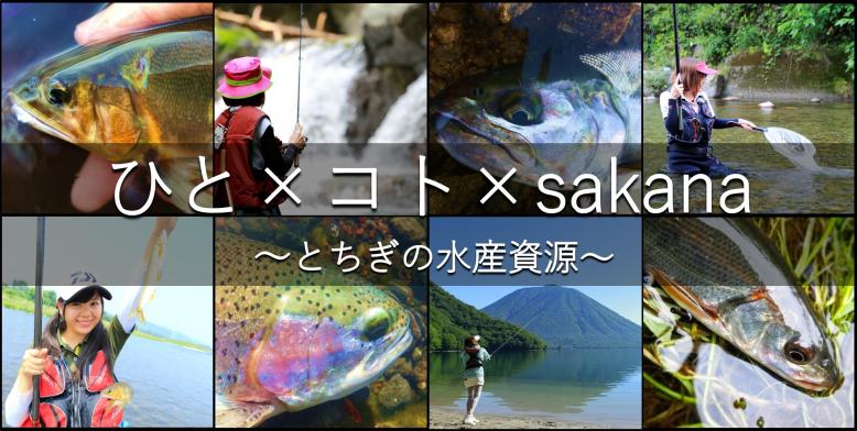 とちぎの水産業