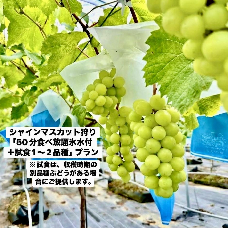 アグリーンパーク 宇都宮ぶどうの杜