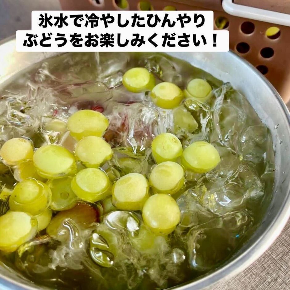 アグリーンパーク 宇都宮ぶどうの杜