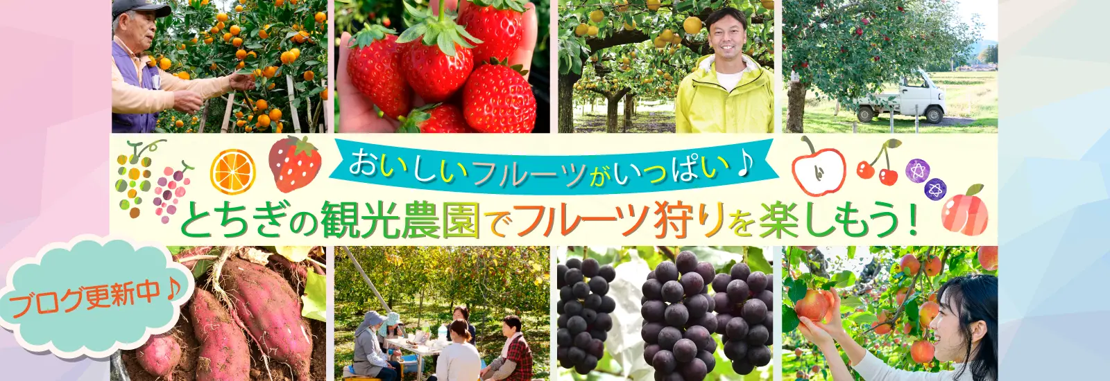 とちぎのフルーツ狩り特集