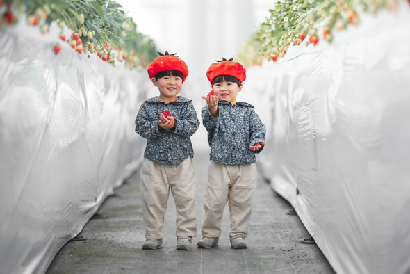Twins Farm真岡いちご園