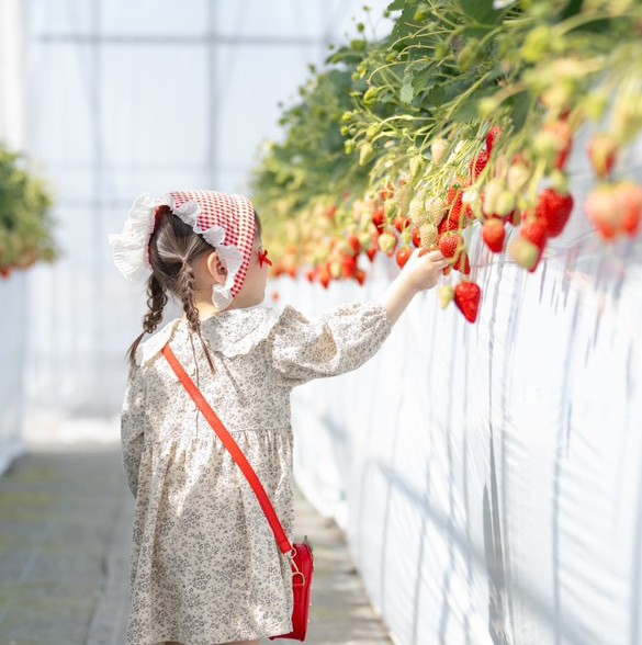 Twins Farm真岡いちご園