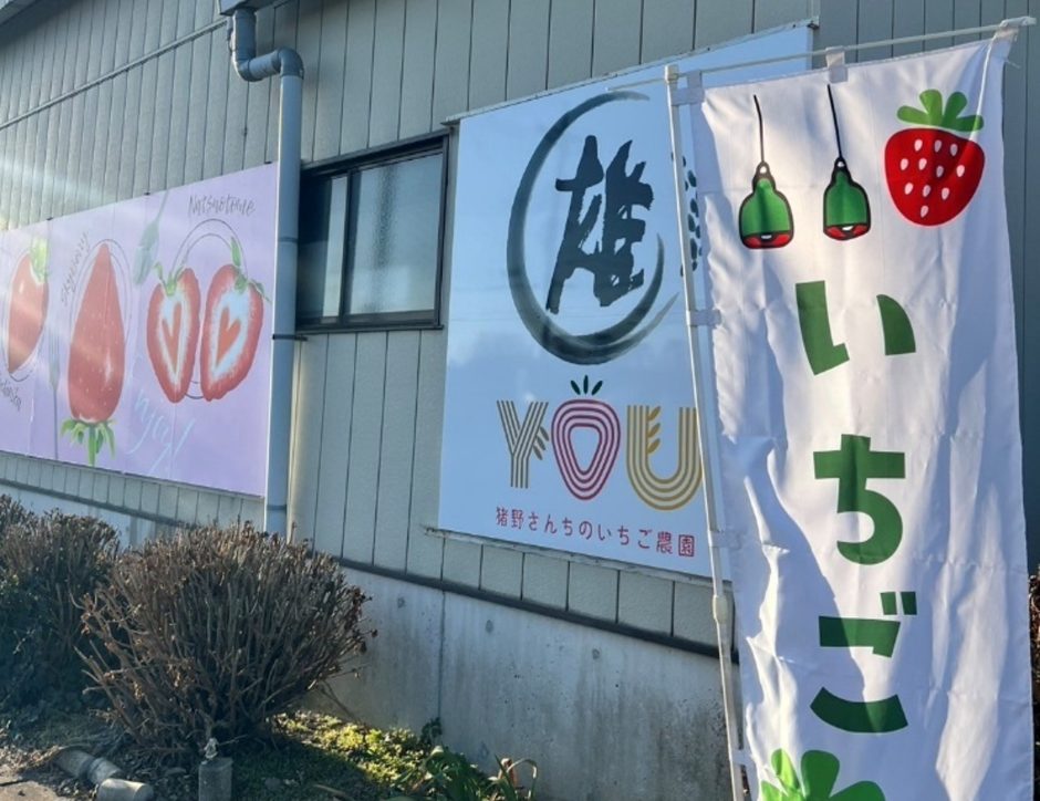 猪野さんちのいちご農園