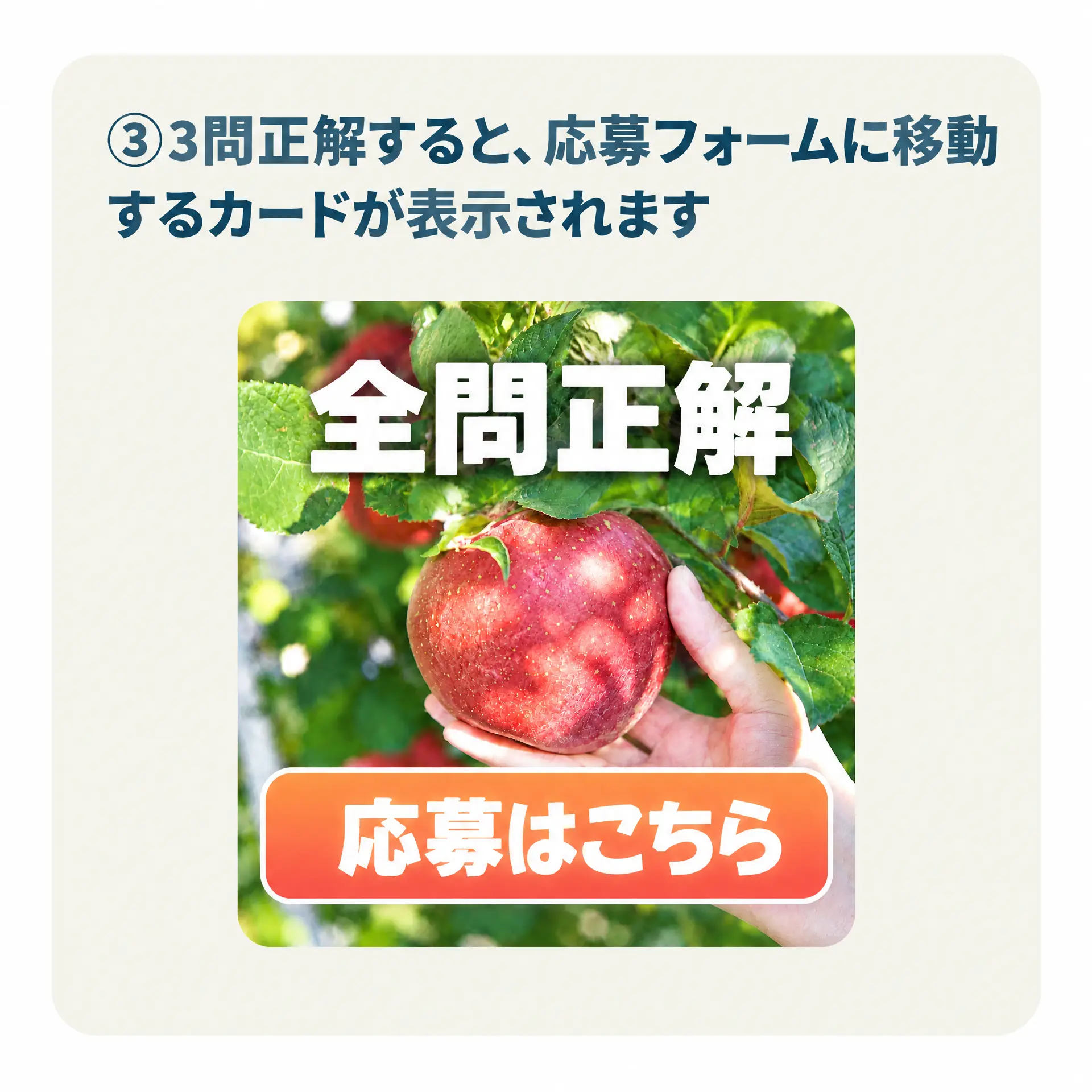 応募手順 STEP3
