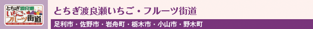 とちぎ渡良瀬いちごフルーツ街道(足利市・佐野市・岩舟町・栃木市・小山市・野木町)