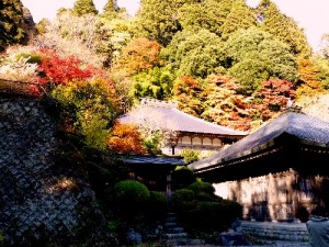 雲岩寺紅葉