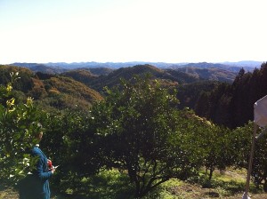 八溝の山並み