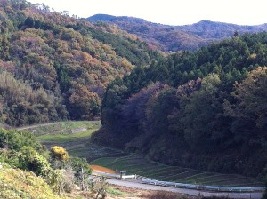 国見の棚田