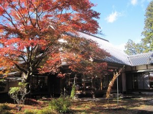 小代行川庵庭園側