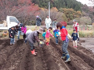 みんなで麦まき体験