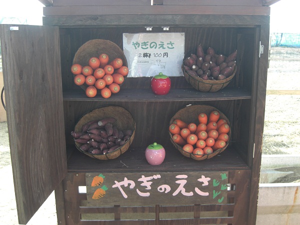 いちごの里でいちごのケーキ 農政部職員ブログ 栃木のうんまいもの食べ歩き