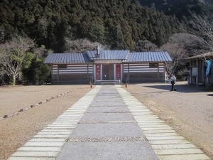 山帰来全景