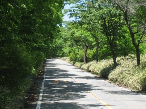 霧降高原道路