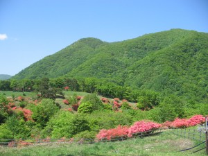 山の風景