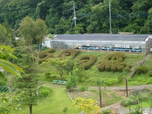 「6月の森」外観