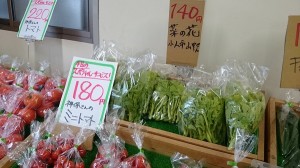 並べられている新鮮野菜