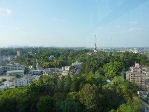 P1130914