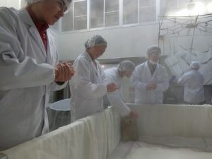白楊舞の仕込み１
