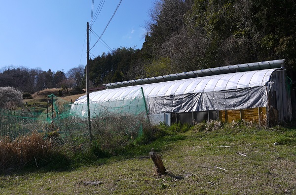 ジモティ 栃木 県